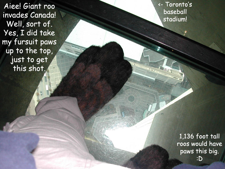 Canadian Filler: CN Tower Pawshot